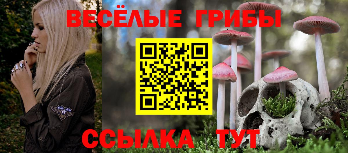 Тимашёвск  Галлюциногенные грибы ЛСД  Вход с VPN  Псилоцибиновые грибы MAGIC MUSHROOMS 